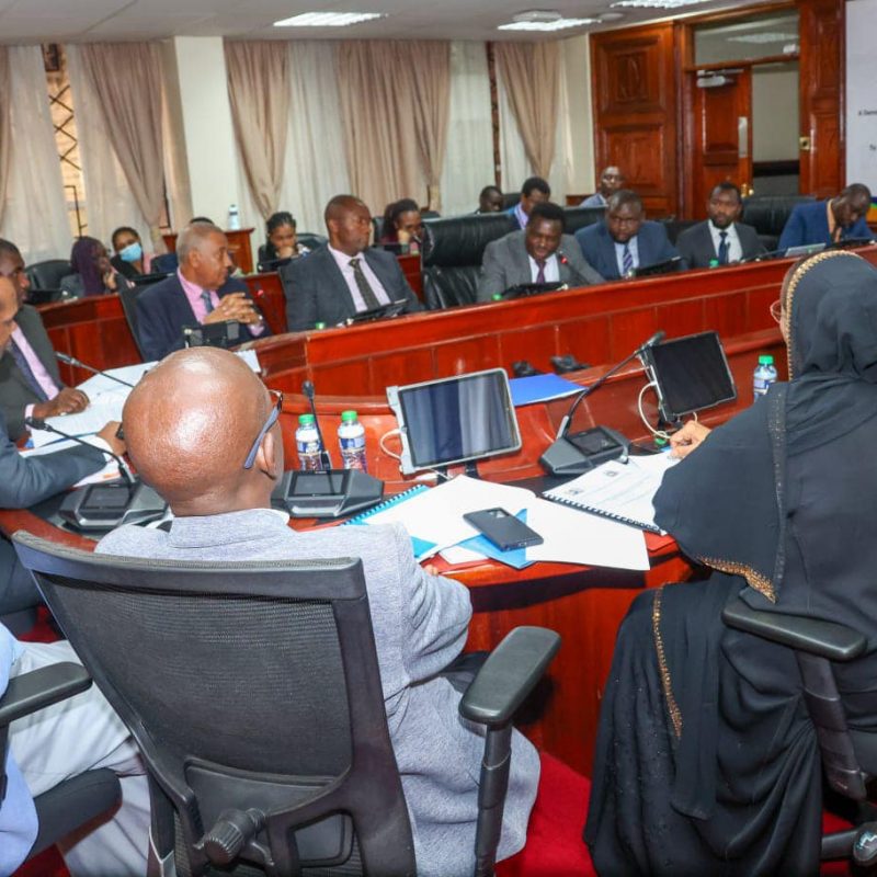Governors meeting the Senate Committees on Finance and Budgeting at Parliament buildings 3