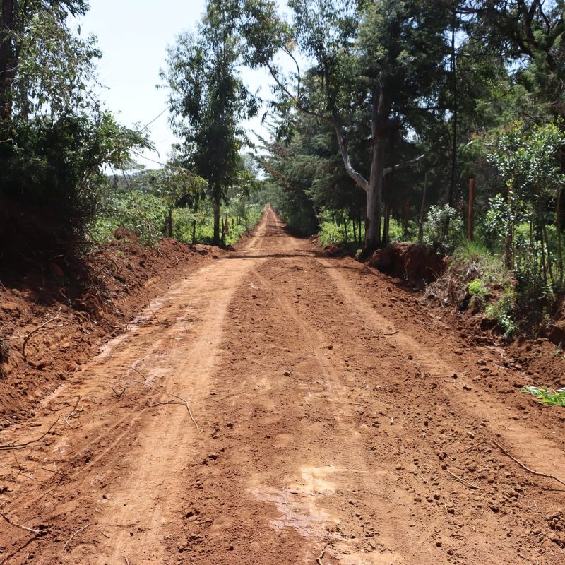 Opening of new roads in Central Ward, Ndaragwa Sub-County 5