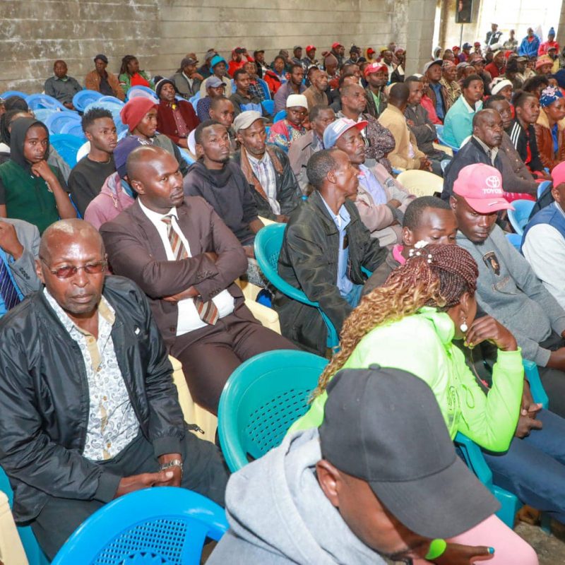 deliberations on the stalled Mau Mau flagship project 11
