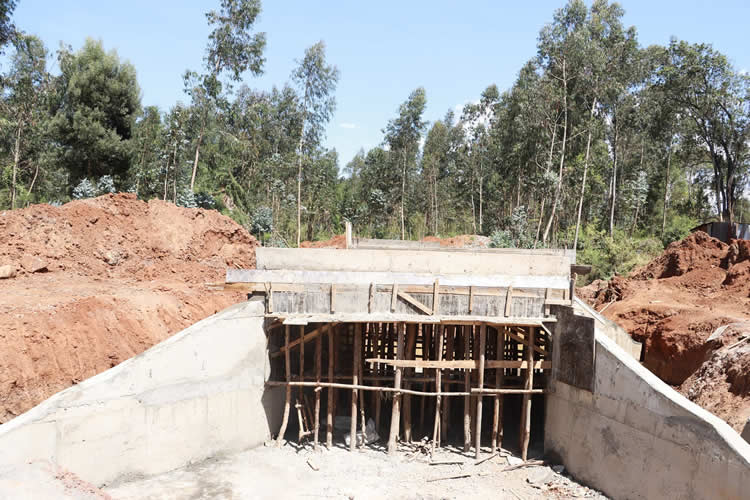 Inspection of the newly-opened Munyeki Dispensary Road in Karau Ward 9
