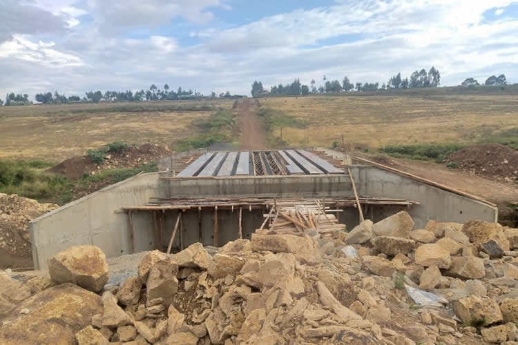 Munyeki-Gachwe-Kirimaini bridge 2