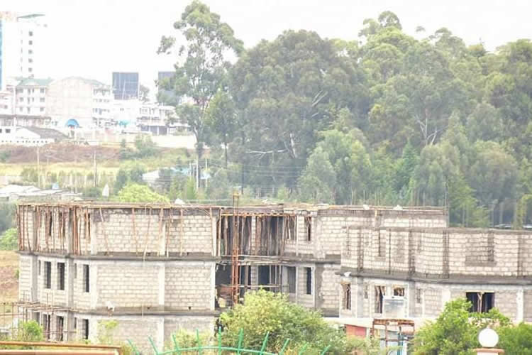 National Government’s Affordable Housing Program in Nyandarua 6