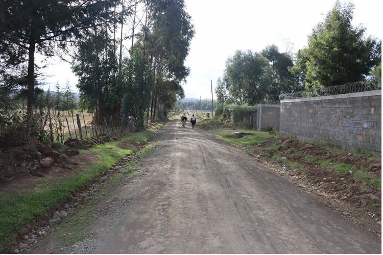 Rehabilitates of feeder roads in Rurii Ward 2