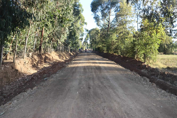 Rehabilitates of feeder roads in Rurii Ward 3