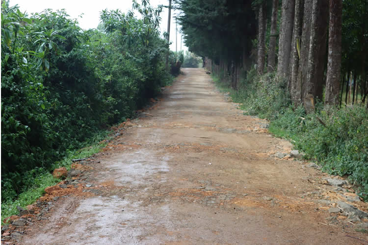 Rehabilitates of feeder roads in Rurii Ward 8