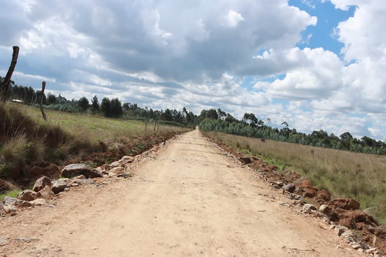Rehabilitation and maintenance the following feeder roads in Gatimu Ward 9